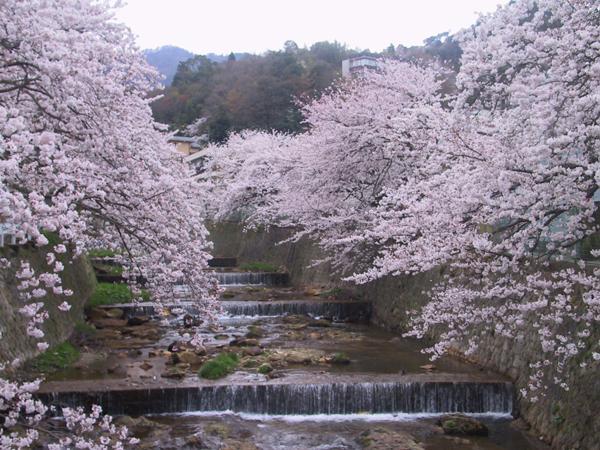 有馬温泉　角の坊 旅館 神戸市